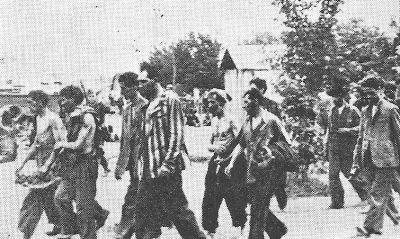 kal382.jpg  Jewish Bessarabian camp at Transdnistria [36 KB]