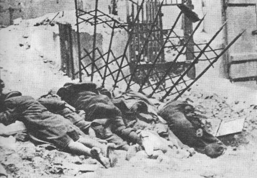 kal402.jpg Wretched corpses in the ghetto ruins [50 KB]
