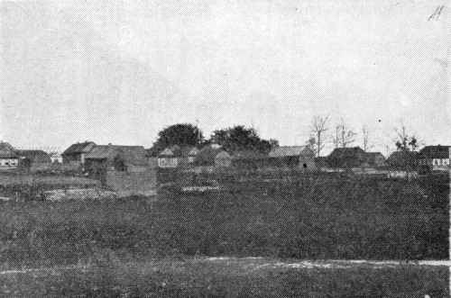 mir039.jpg