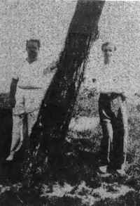 Oste026a.jpg