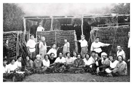 rok137a.jpg [25 KB] - Chalutzim at the tobacco plantation