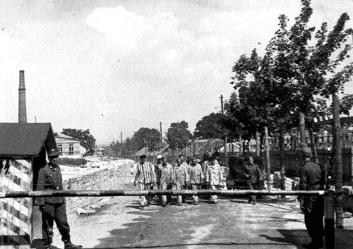 Jews marching 5 abreast in Plaszow 1943