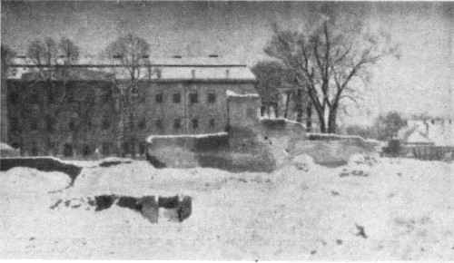 Tar1_170.jpg