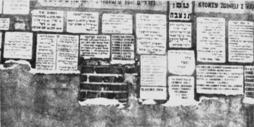 Tar1_175b.jpg