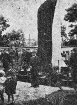 tar1_180a.jpg
