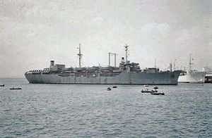 tra010.jpg