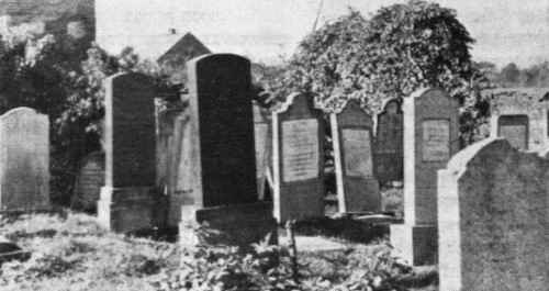 Wad048.jpg