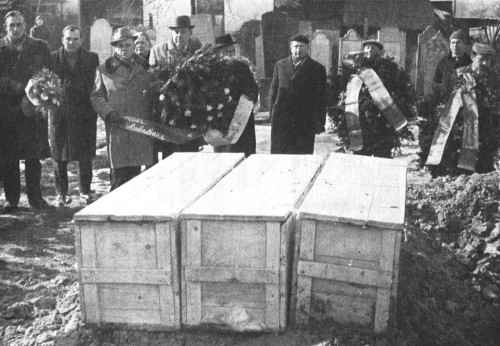 Wad049.jpg