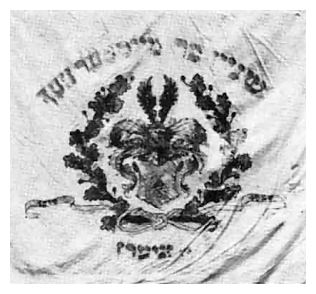 zgi261.jpg The flag of the Jewish tailors' guild in Zgierz [22 KB]